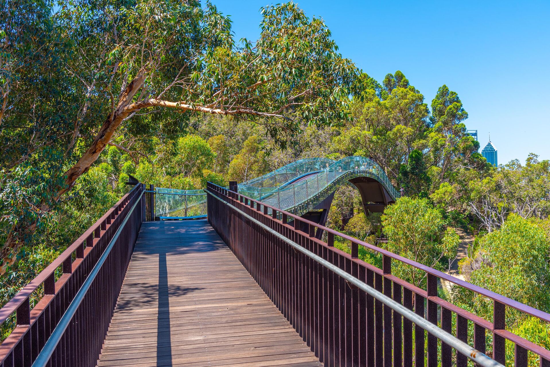 Kings Park 