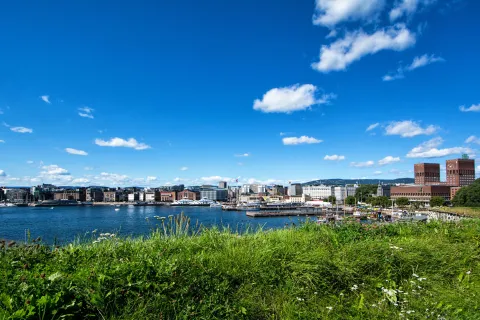 Bay Pipervika, harbor