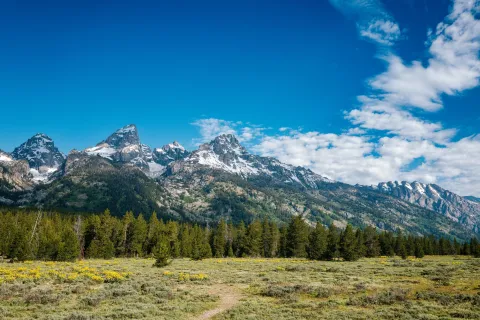 Jackson Wyoming
