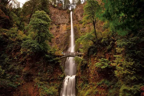 American Encore - Onshore Excursions