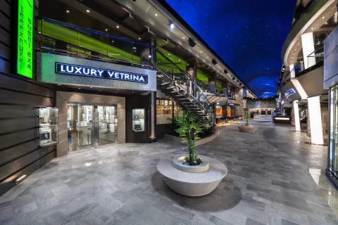 MSC Bellissima - Galleria Bellissima