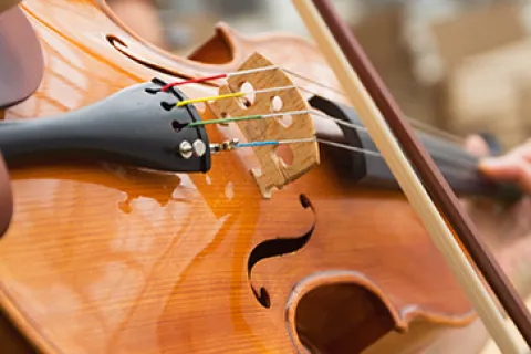 Viking Delling - Classical & Regional Musicians