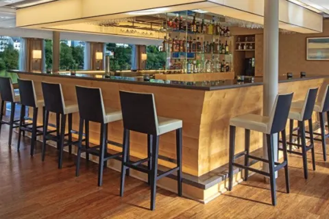 Viking Fjorgyn - The Lounge