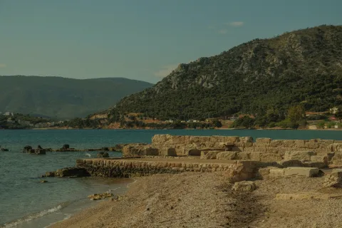 Alexandria