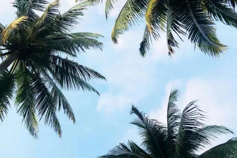 Kemi