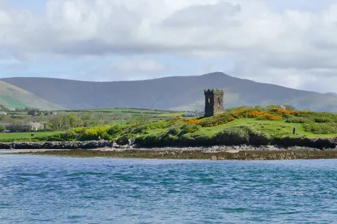 Dingle