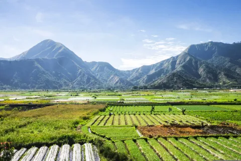 Lembar, Lombok