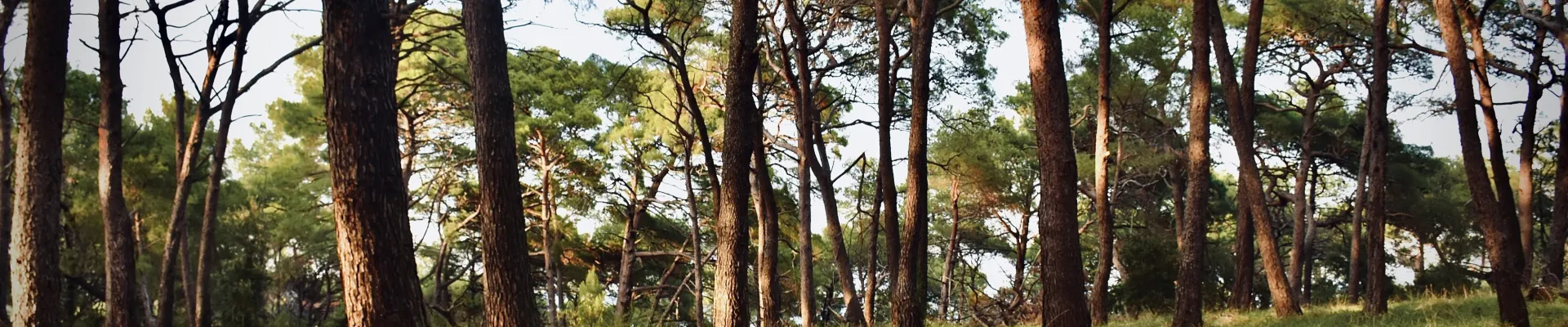 Mali Losinj