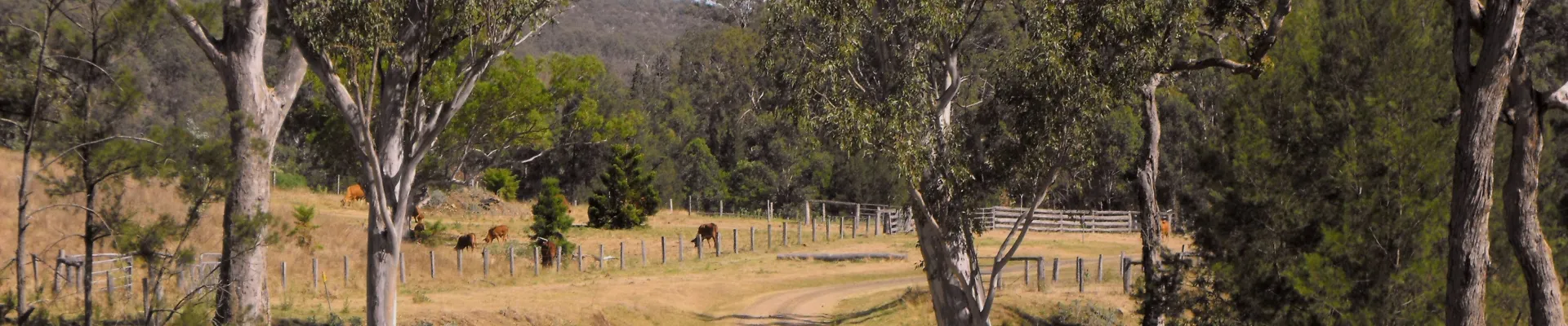 Cooktown, Queensland