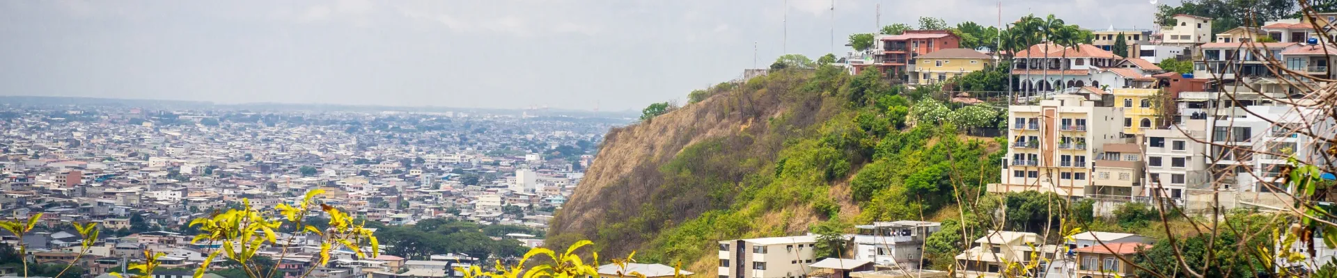 Guayaquil