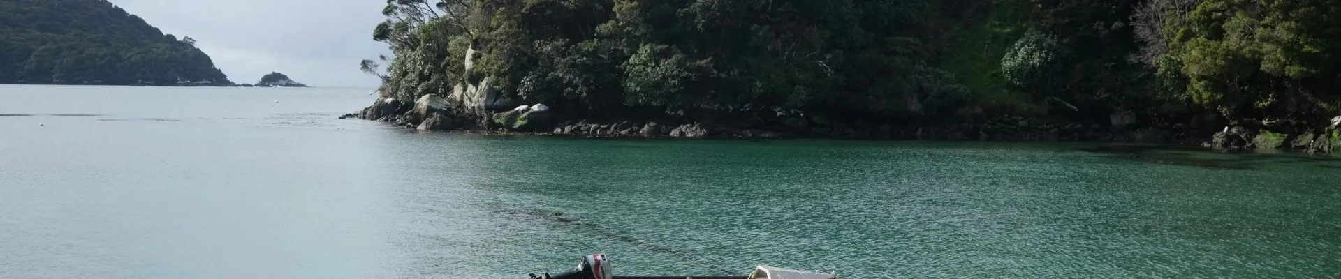 Oban, Stewart Island