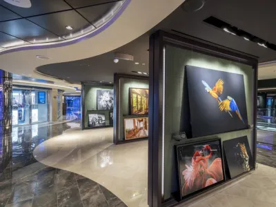 MSC Seashore - Entertainment