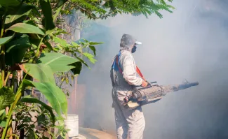 Dengue Fever